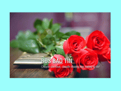 Tìm hiểu ý nghĩa hoa hồng Nhung mới nhất