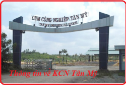 Thông tin về khu công nghiệp Tân Mỹ