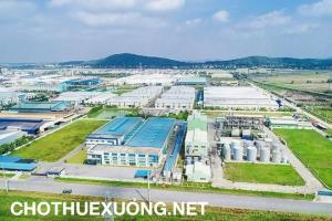 Chuyển nhượng đất từ 5000m2 trong KCN Việt Yên, Bắc Giang