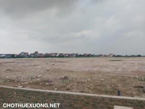 Chuyển nhượng đất 6,2 ha tại Cẩm Hưng, Cẩm Giàng, Hải Dương