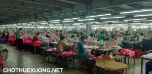 Cho thuê xưởng may 12,000m2 tại Hậu Lộc, Thanh Hóa