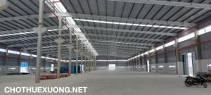 Cho Thuê Kho Xưởng Khung Zamil Diện Tích Đa Dạng tại Tứ Kỳ, Hải Dương