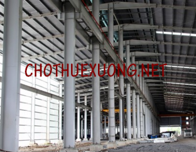 Cho thuê nhà xưởng diện tích lớn tại Bỉm Sơn Thanh Hóa