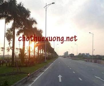 Chuyển nhượng gấp đất công nghiệp tại Đại Đồng, Văn Lâm, Hưng Yên giá rẻ