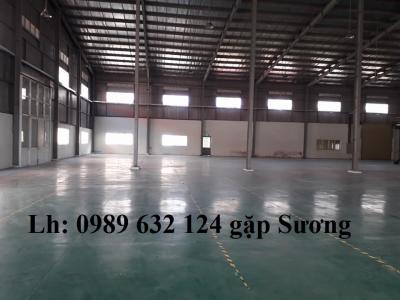 Cho thuê xưởng sản xuất 1500m2 tại KCN Sóng Thần 1 Bình Dương