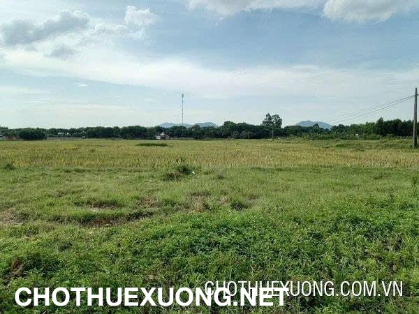 Chuyển nhượng 12.620m² đất công nghiệp tại Bình Lãng- Tứ Kỳ