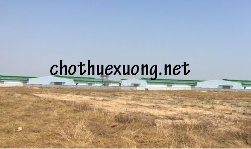 Bán đất công nghiệp tại Bắc Ninh trong Khu công nghiệp Thuận Thành(Khai Sơn)