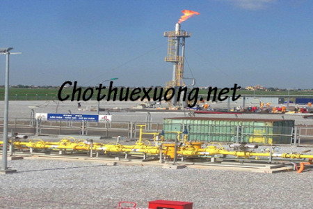 Bán đất Khu công nghiệp Tiền Hải Thái Bình DT từ 1ha