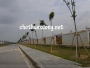 Bán đất Khu công nghiệp Lai Vu, Kim Thành Hải Dương DT từ 1ha Bán đất Khu công nghiệp Lai Vu, Kim Thành Hải Dương DT từ 1ha