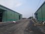 Cho thuê kho xưởng đường Bến Nghé, Quận 7 DT 10.000m2 chia kho từ 500m2-1000m2.