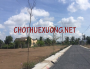 Bán gấp 5002m2 đất công nghiệp tại Xuân Trường, Nam Định giá tốt Bán gấp 5002m2 đất công nghiệp tại Xuân Trường, Nam Định giá tốt