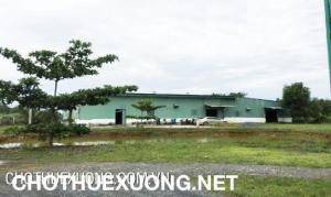 Cho thuê nhà xưởng 2000-12000m2 ở Thanh Hà Hải Dương