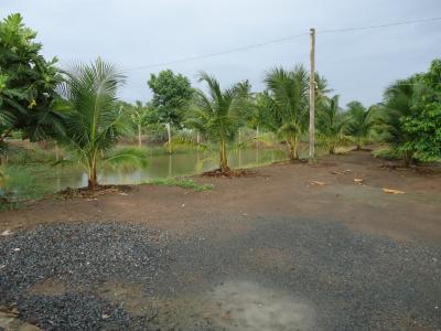 BÁN ĐẤT THỦ THỪA LONG AN 2077 M2 LÀM NHÀ VƯỜN