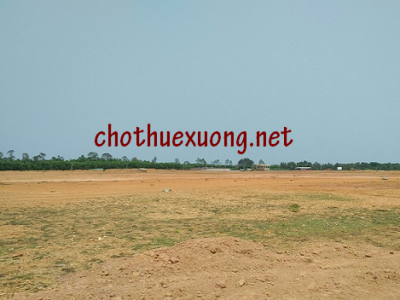 Cho thuê đất công nghiệp xây dựng nhà xưởng tại khu công nghiệp Tam Anh, Quảng Nam giá tốt