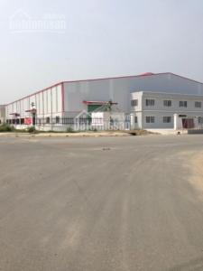 Cho thuê nhà xưởng trong khu công nghiệp Tân Tạo Quận Bình Tân . DT 2.000m2, 130tr/th