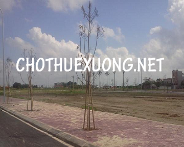 Bán đất Khu công nghiệp Đại An DT 6050m2 giá tốt
