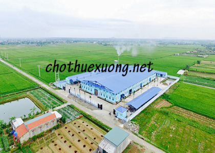 Bán nhà xưởng tại Bỉm Sơn Thanh Hóa DT 3410m2 giá tốt