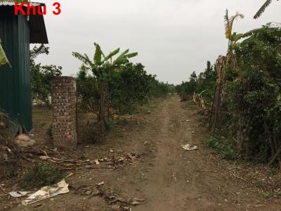 Bán 6000m2 đất công nghiệp xây nhà xưởng Đông Mỹ, Thanh Trì, HN