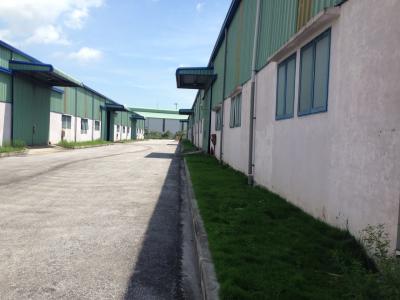 Cho thuê xưởng 9000m2 huyện An Dương về sản xuất luôn