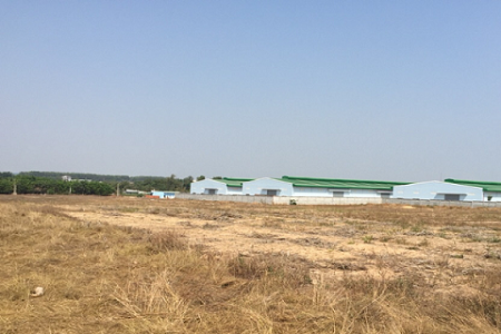 Cho thuê đất tại Ninh Bình trong KCN Phúc Sơn DT 5010m2