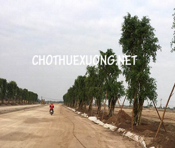 Bán đất công nghiệp 50 năm tại Gia Lộc Hải Dương DT 9900m2