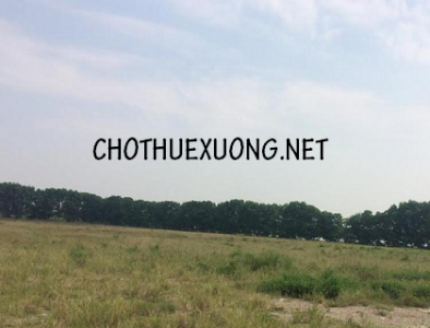 Bán đất công nghiệp tại Bỉm Sơn Thanh Hóa DT 1ha trở lên giá tốt