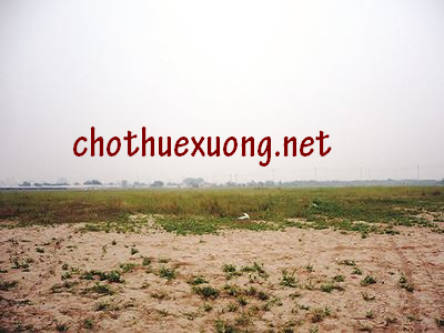 308983353_ban-dat-bim-son2.png