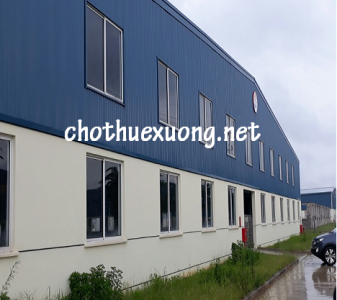 Cho thuê xưởng đẹp tại Vĩnh Phúc trong Khu công nghiệp Bình Xuyên