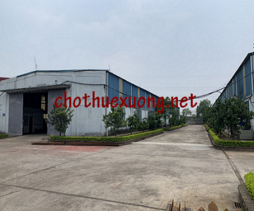 Cho thuê nhà xưởng tại Phố Nối, thị xã Mỹ Hào, Hưng Yên DT 1500m2, 3000m2