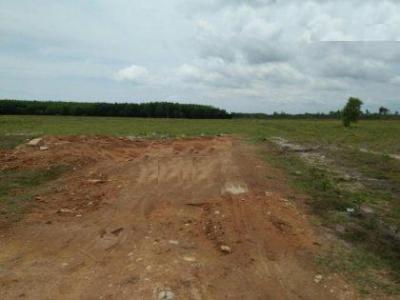 Bán đất công nghiệp tại Thanh Hóa, Hoằng Hóa 19000m2 cách QL1 5km, đã có trạm điện
