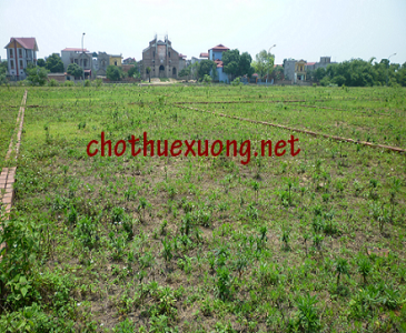 Chuyển nhượng đất công nghiệp tại Cụm công nghiệp Kim Thành Hải Dương giá tốt